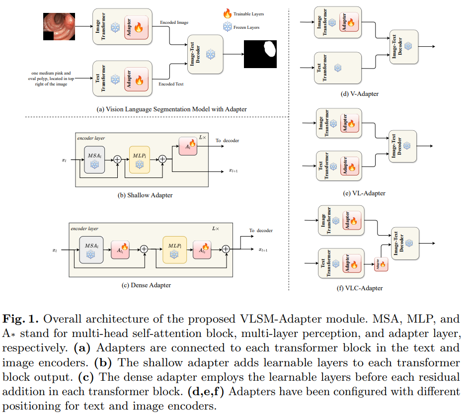 VLSM-Adapter