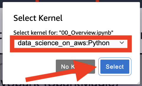 Amazon SageMaker Studio Lab - Select Kernel