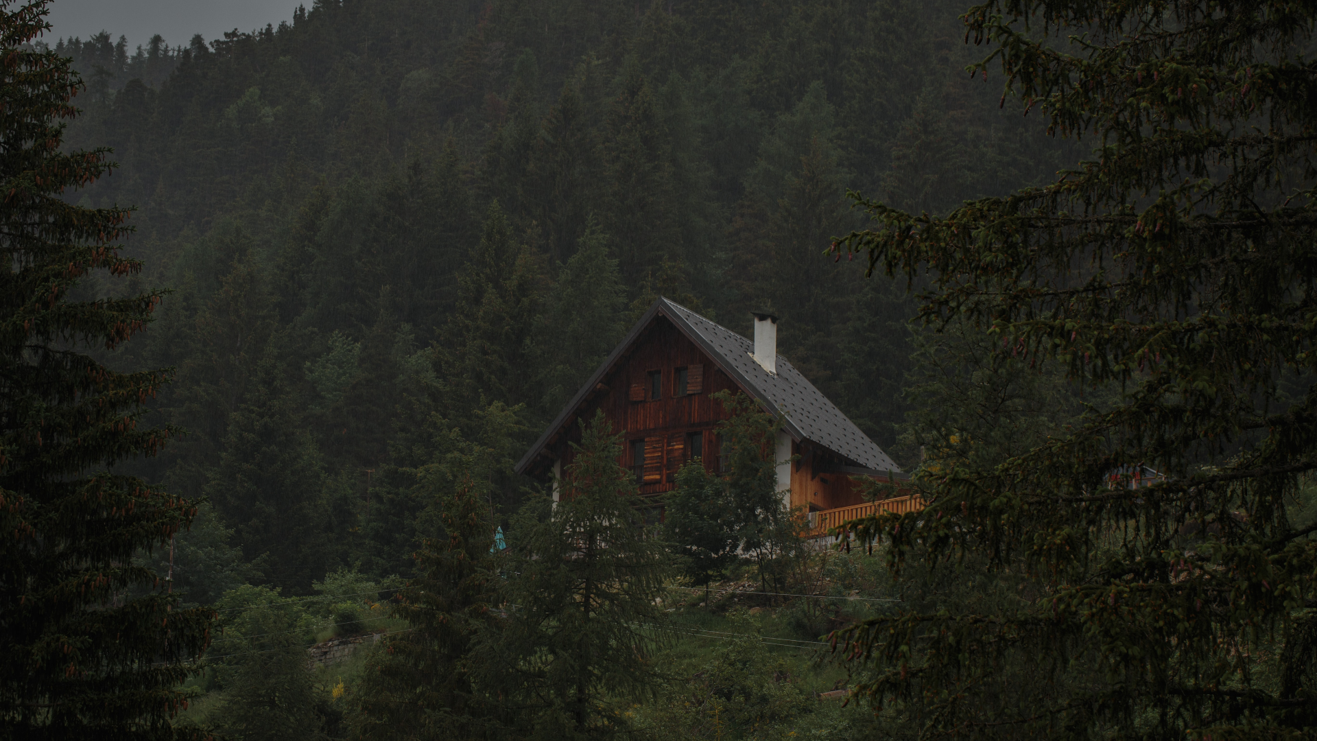 house-in-forest