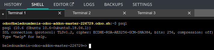 odoo.sh shell Capture