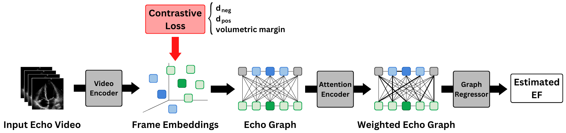 EchoGNN with contrastive learning