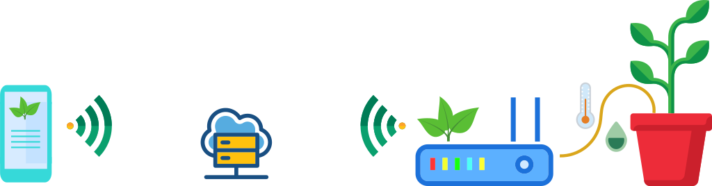 network configuration