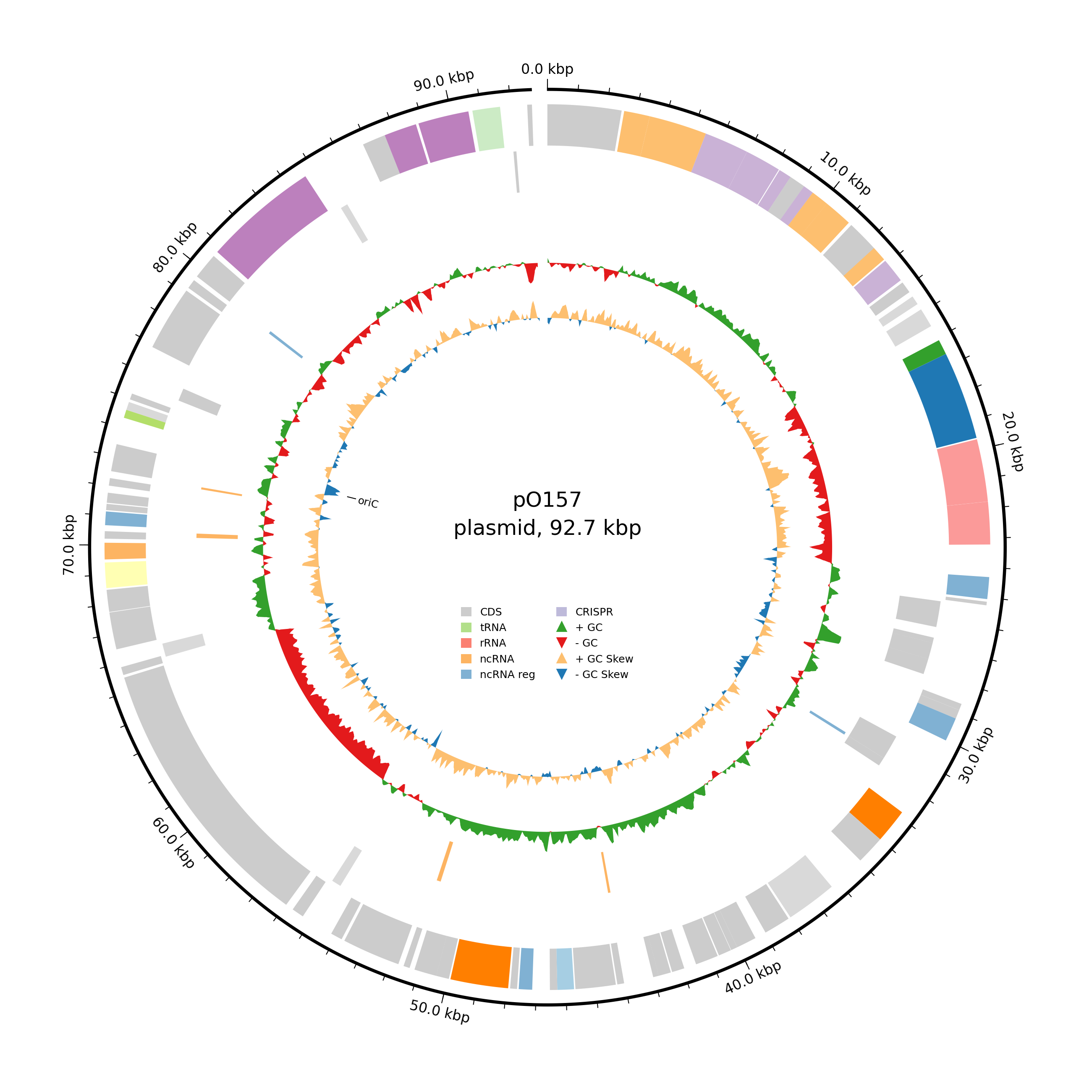 Plot example of Bakta test genome.