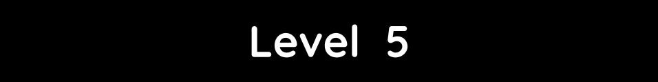 Level 5