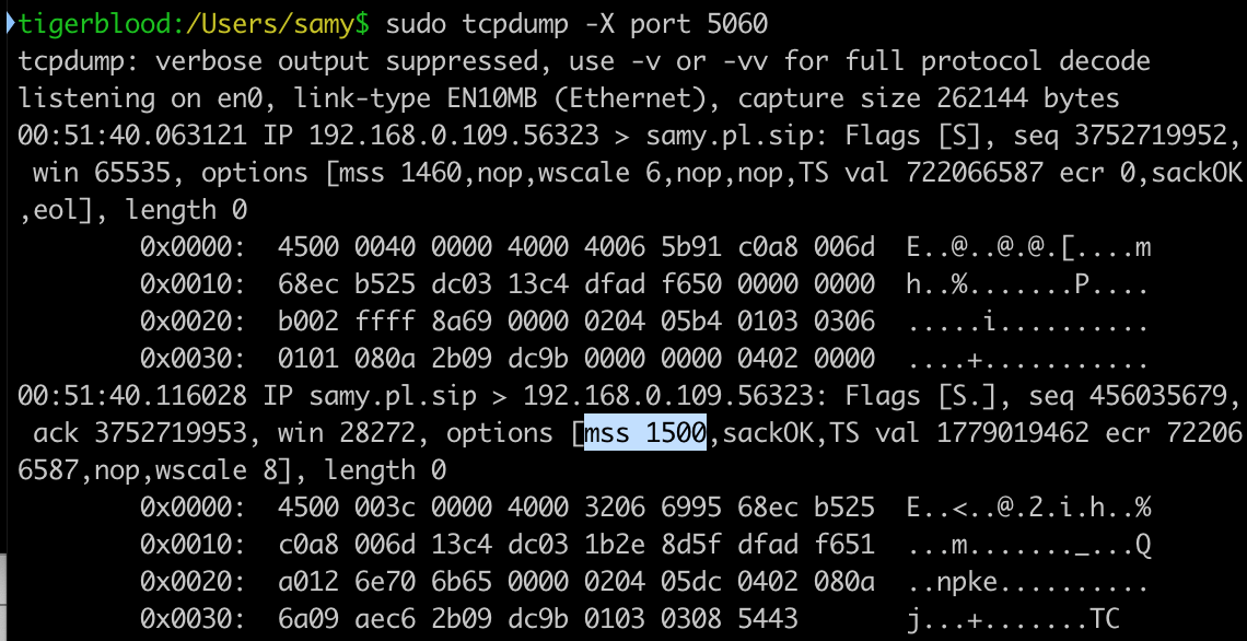 Custom Maximum Segment Size (img/sniff1.png)