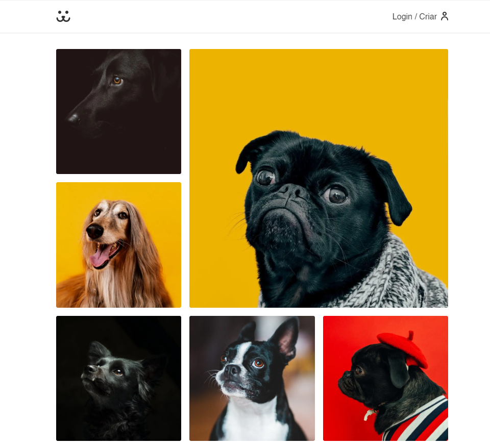 Dogs Preview