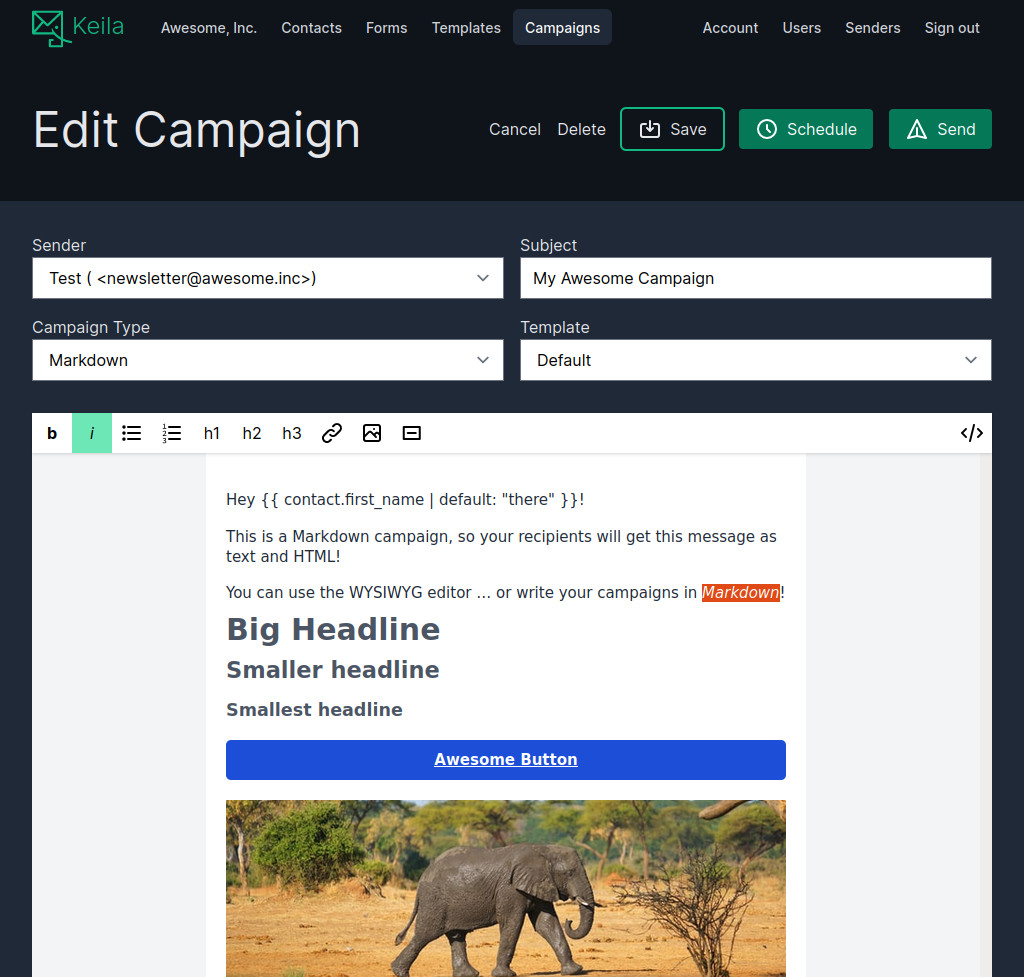 Screenshot of the Keila campaign editor showing the WYSIWYG editor and the default template