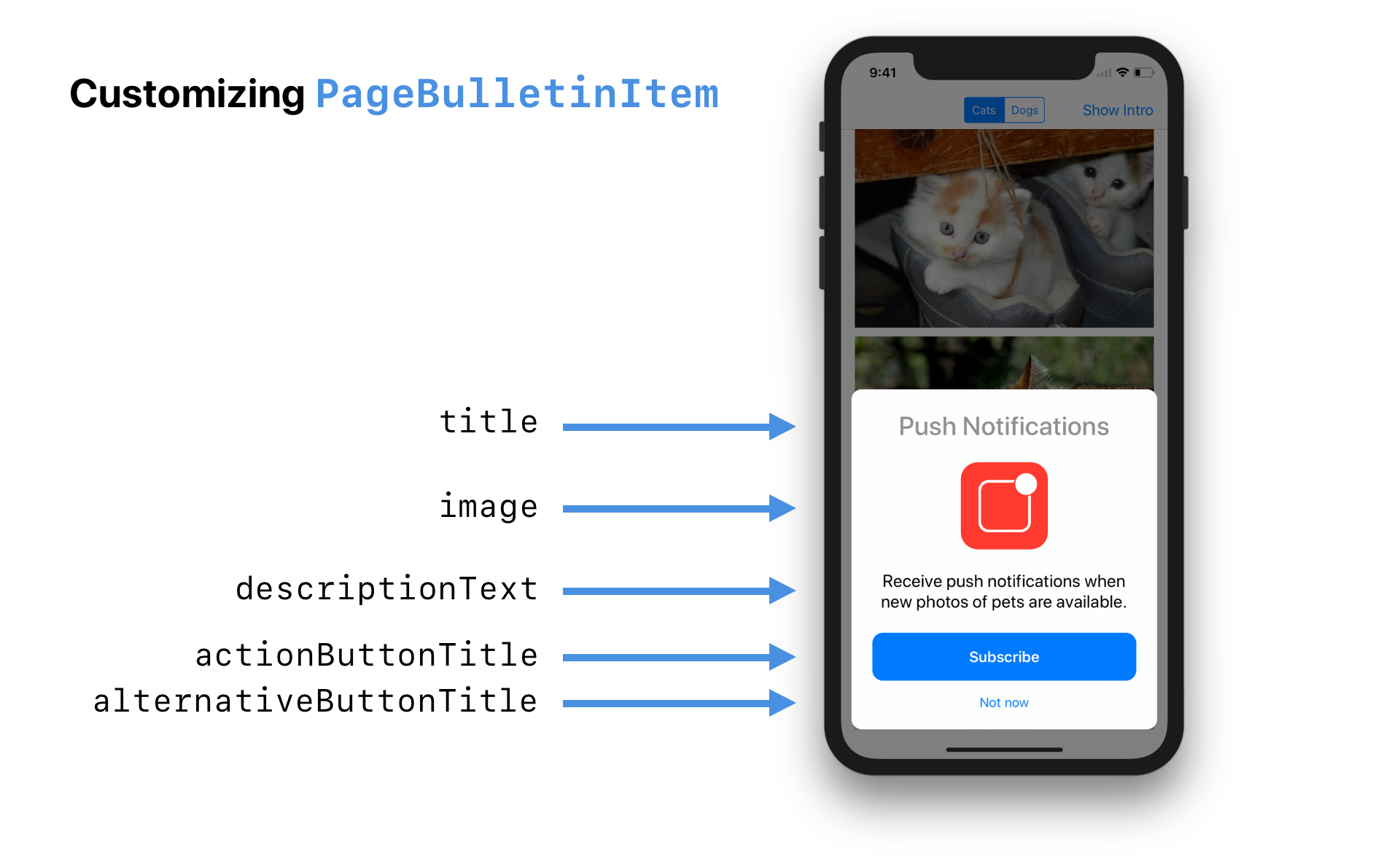 Customizing PageBulletinItem