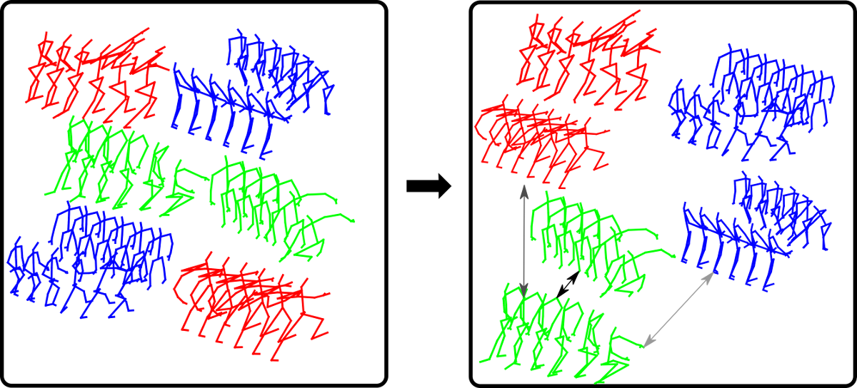 Skeleton-DML Overview