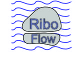 RiboFlow