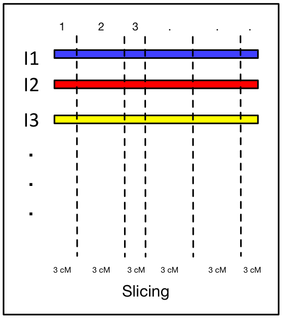 Slicing Schematic