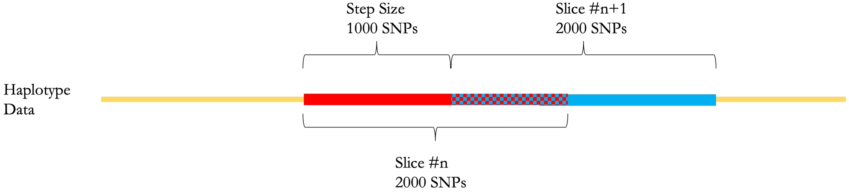 SNP-Based Slicing