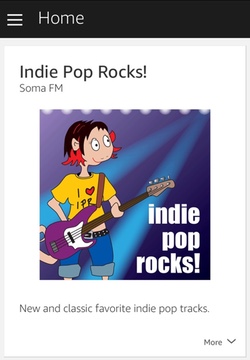 Indie Pop Rocks