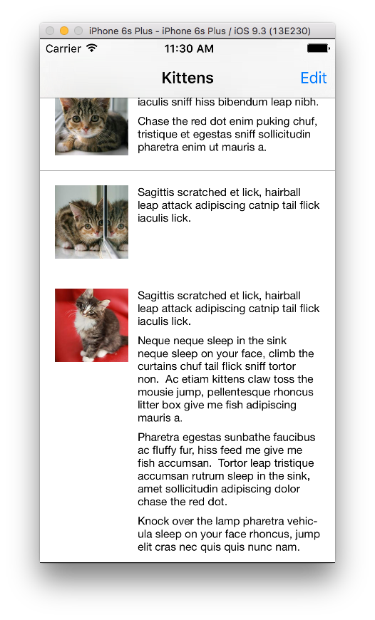 Kittens Example App Screenshot