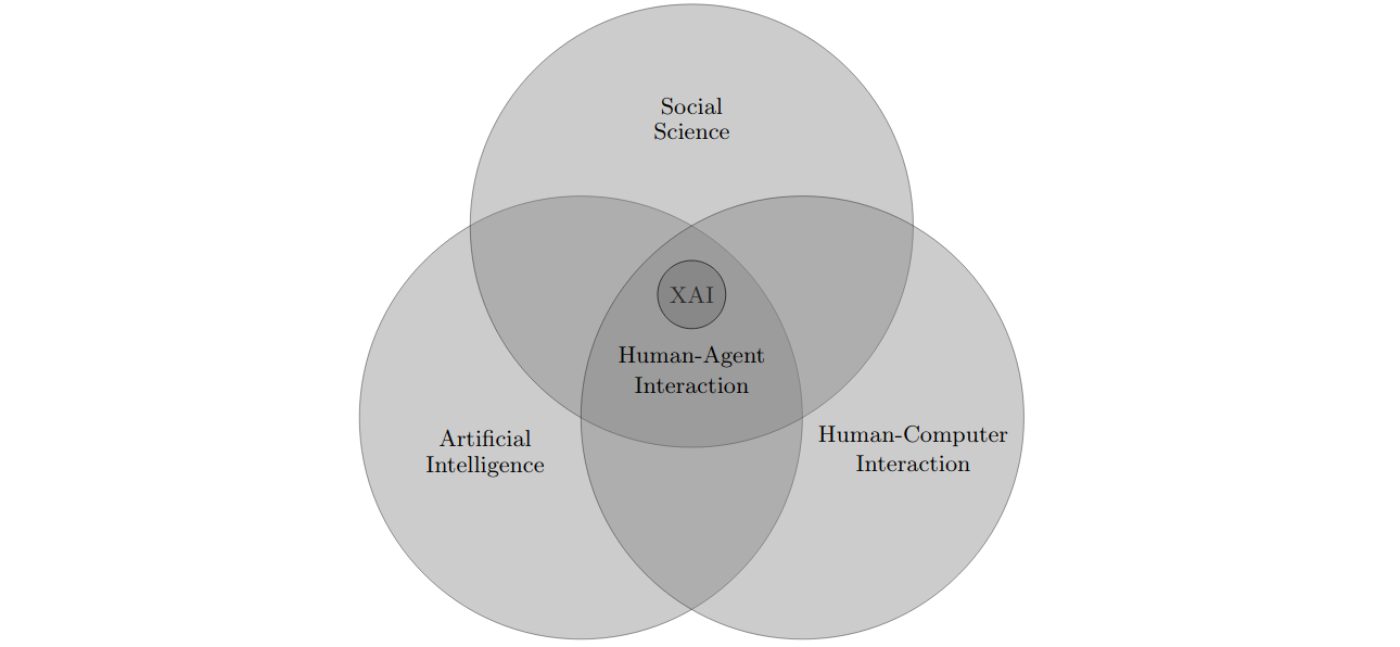 SocialSciences4XAI