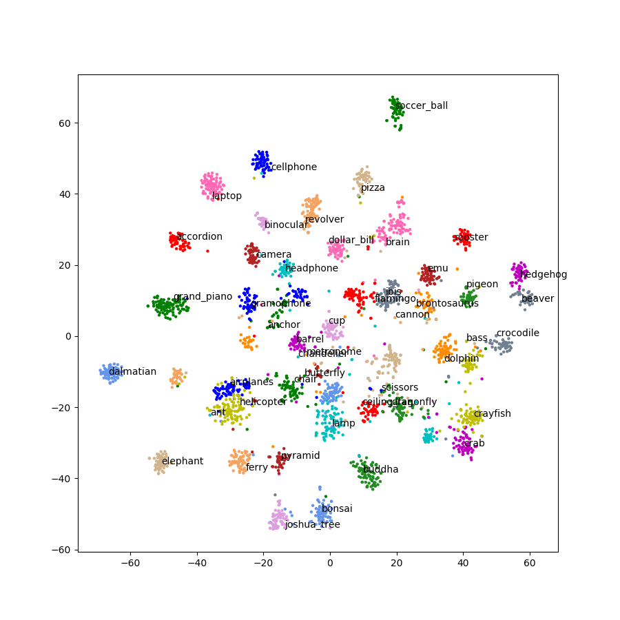 caltech t-SNE plot