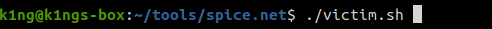 Demonstration Of Running victim.sh