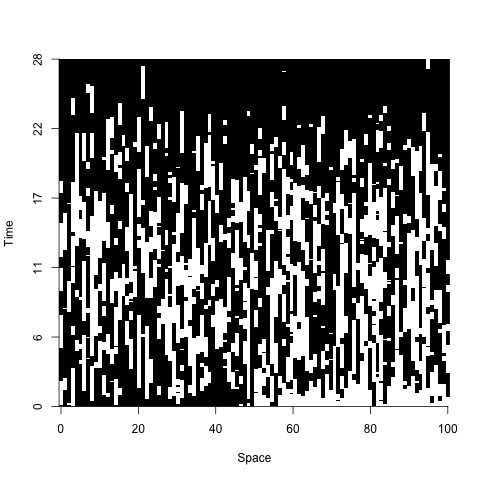 2D Voter model Complete Simulation