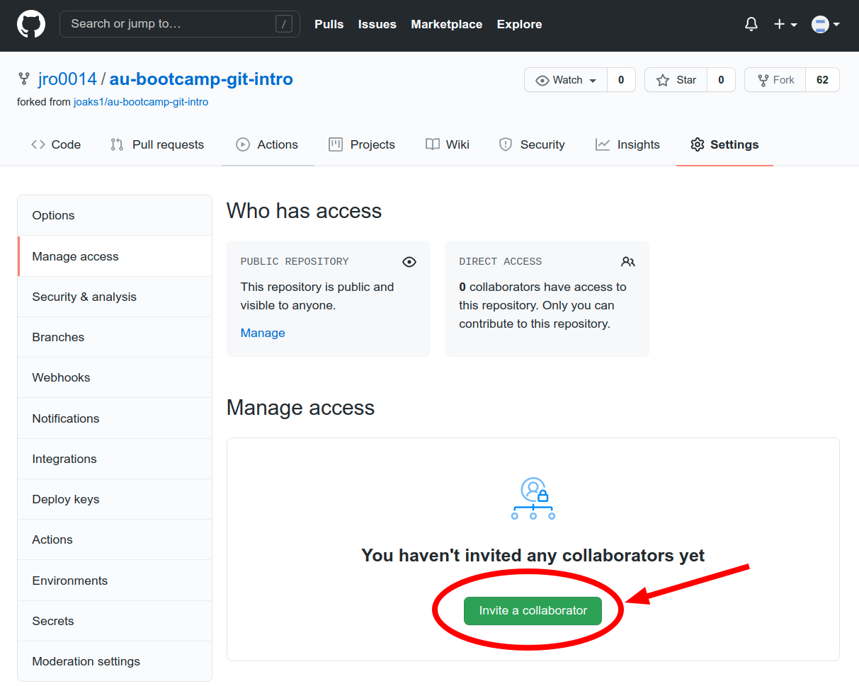 Github collaborators tab