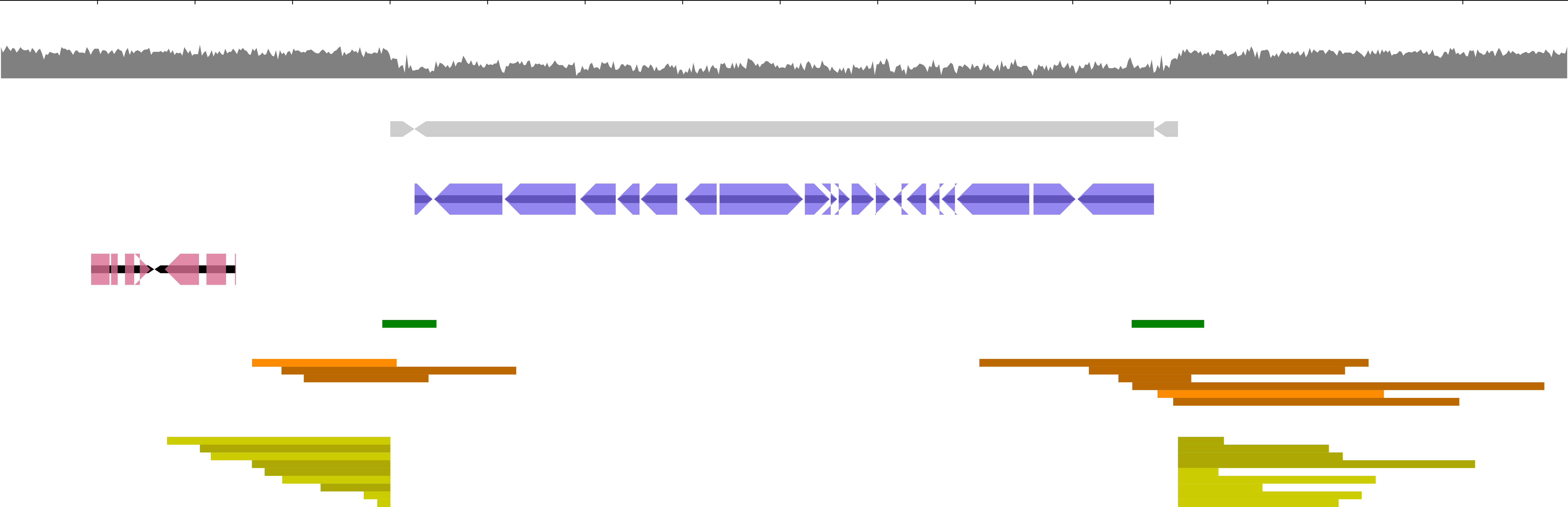 etc/bio2svg-sample.png