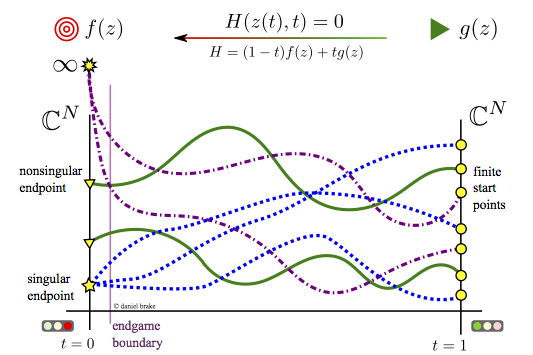 homotopy continuation