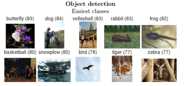 imagenet-sample