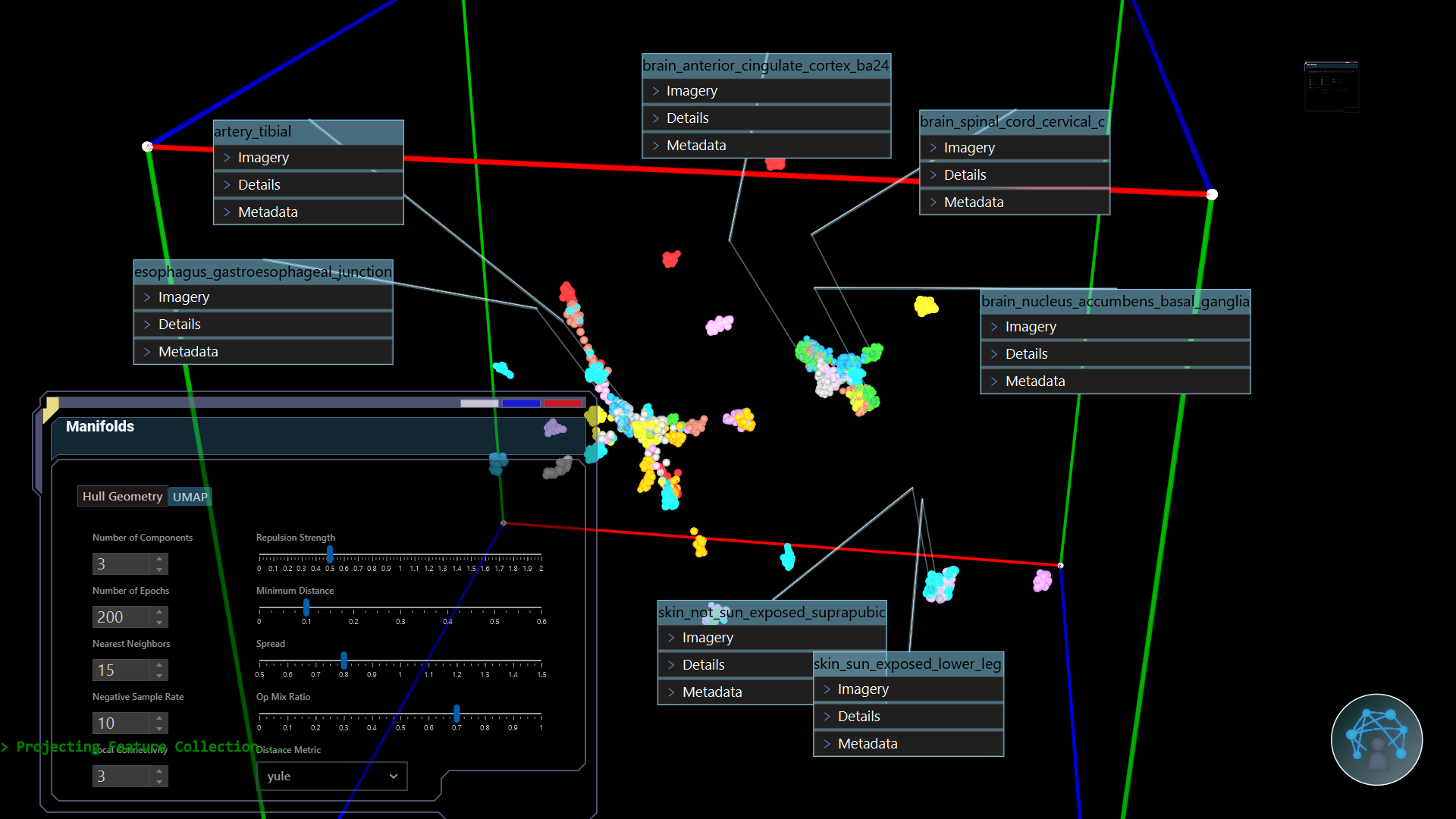 TrinityCOVIDTissueGeneSequenceUMAP-Yule