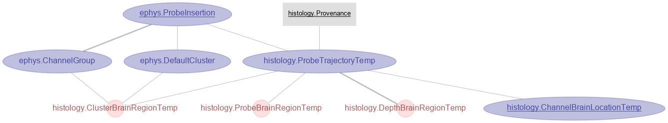 Histology Diagram