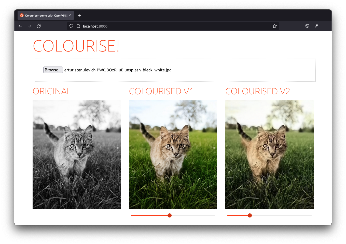 Colouriser app demo with a cat picture colourised.