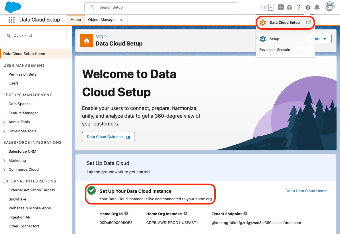 Data Cloud Setup screenshot showing that povisioning is complete