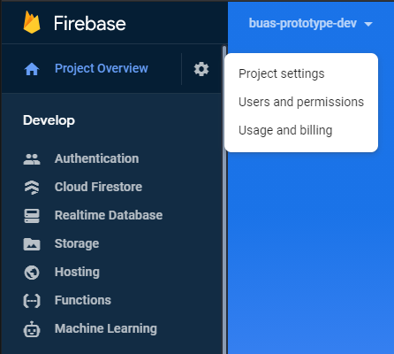 Firebase home screen