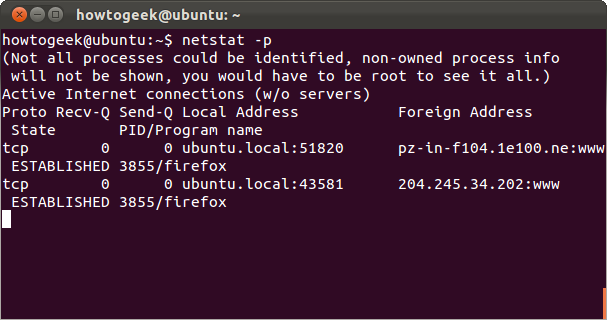 netstat -p