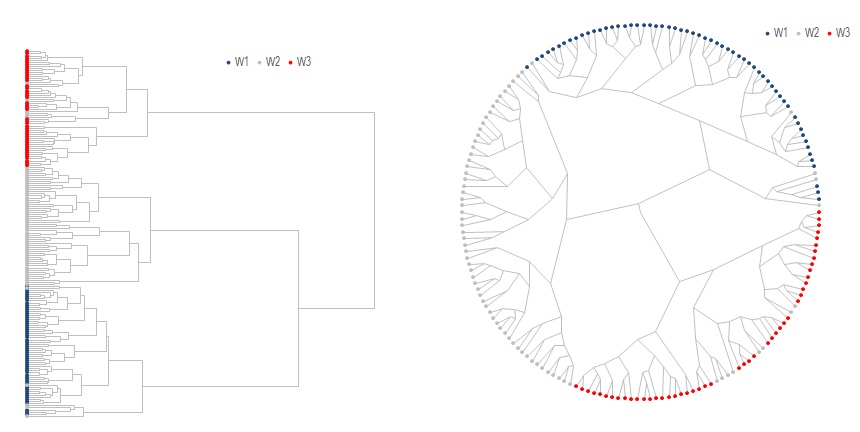 Dendrogram