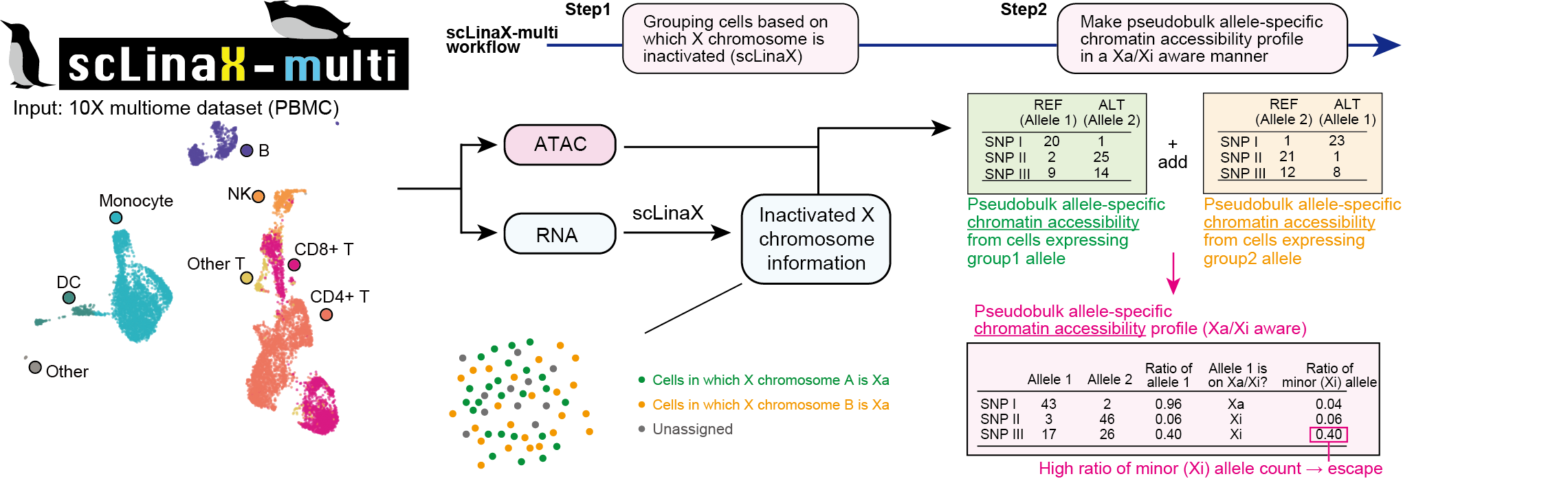 Overview of scLinaX-multi