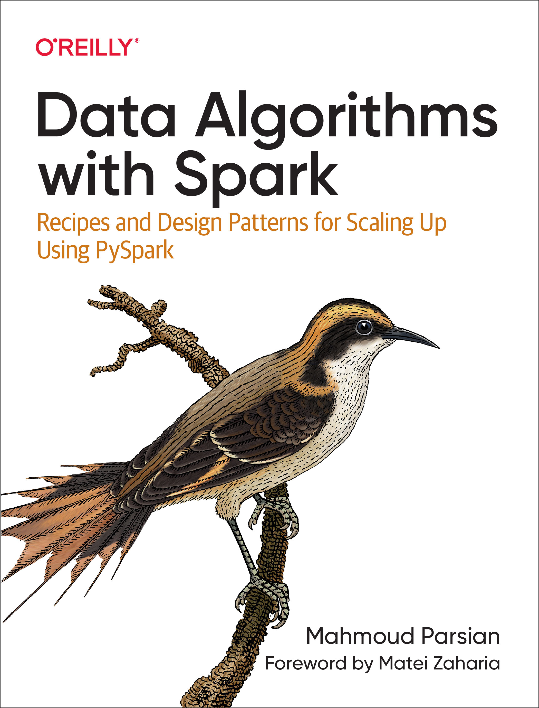 Data Algorithms with Spark