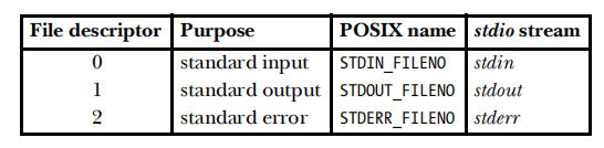 standard file descriptor